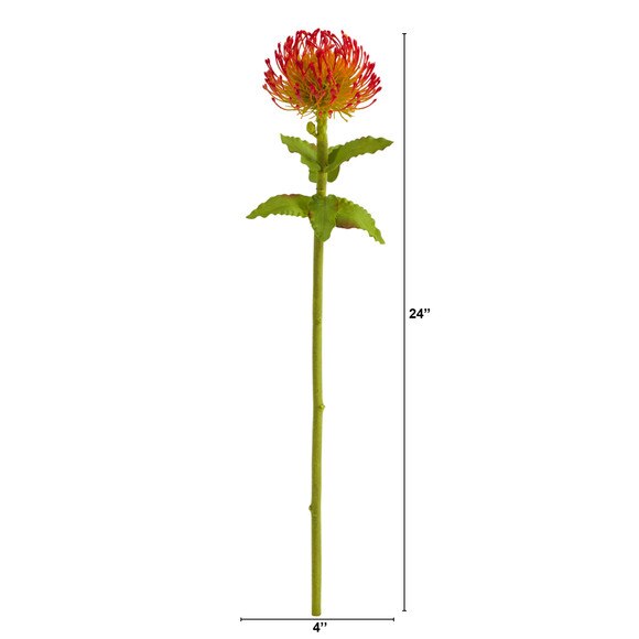 24 Pincushion Flower - SKU #2360 - 6